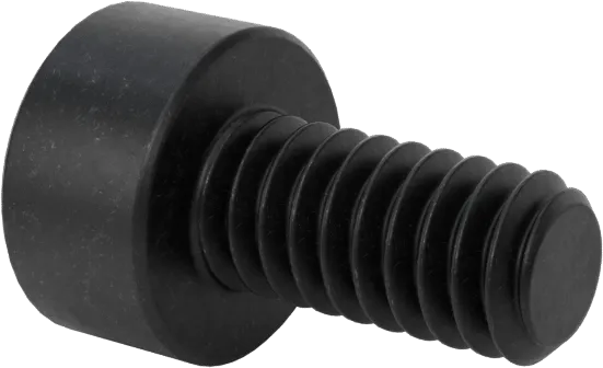 Black-Oxide Alloy Steel Socket Head Screw