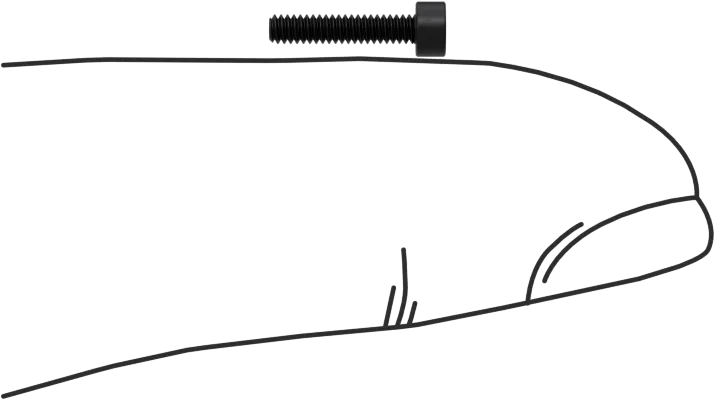 Black-Oxide Alloy Steel Socket Head Screw - Image 3