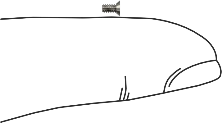18-8 Stainless Steel Phillips Flat Head Screw - Image 3