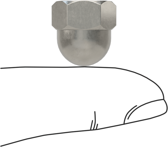 18-8 Stainless Steel Cap Nut - Image 2